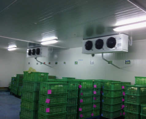 冷冻库和冷库两者到底有什么不一样 冷冻库和冷库两者到底有什么不一样