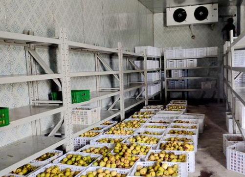 冷库建造 冷库建造