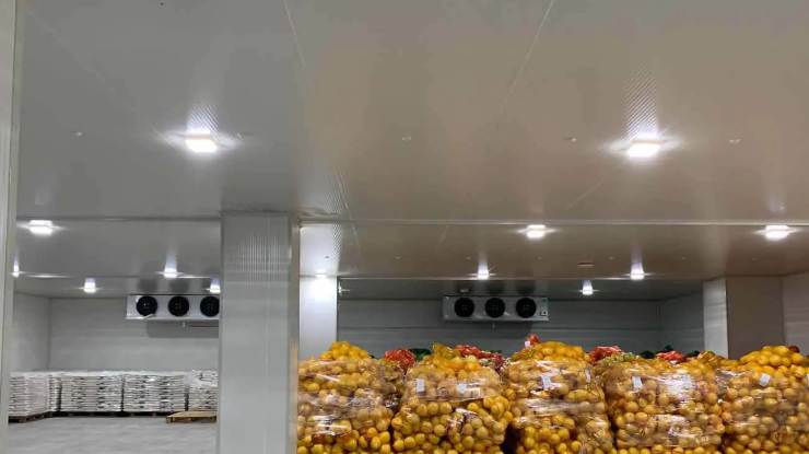 建一个500平米的冷库造价多少钱 建一个500平米的冷库造价多少钱