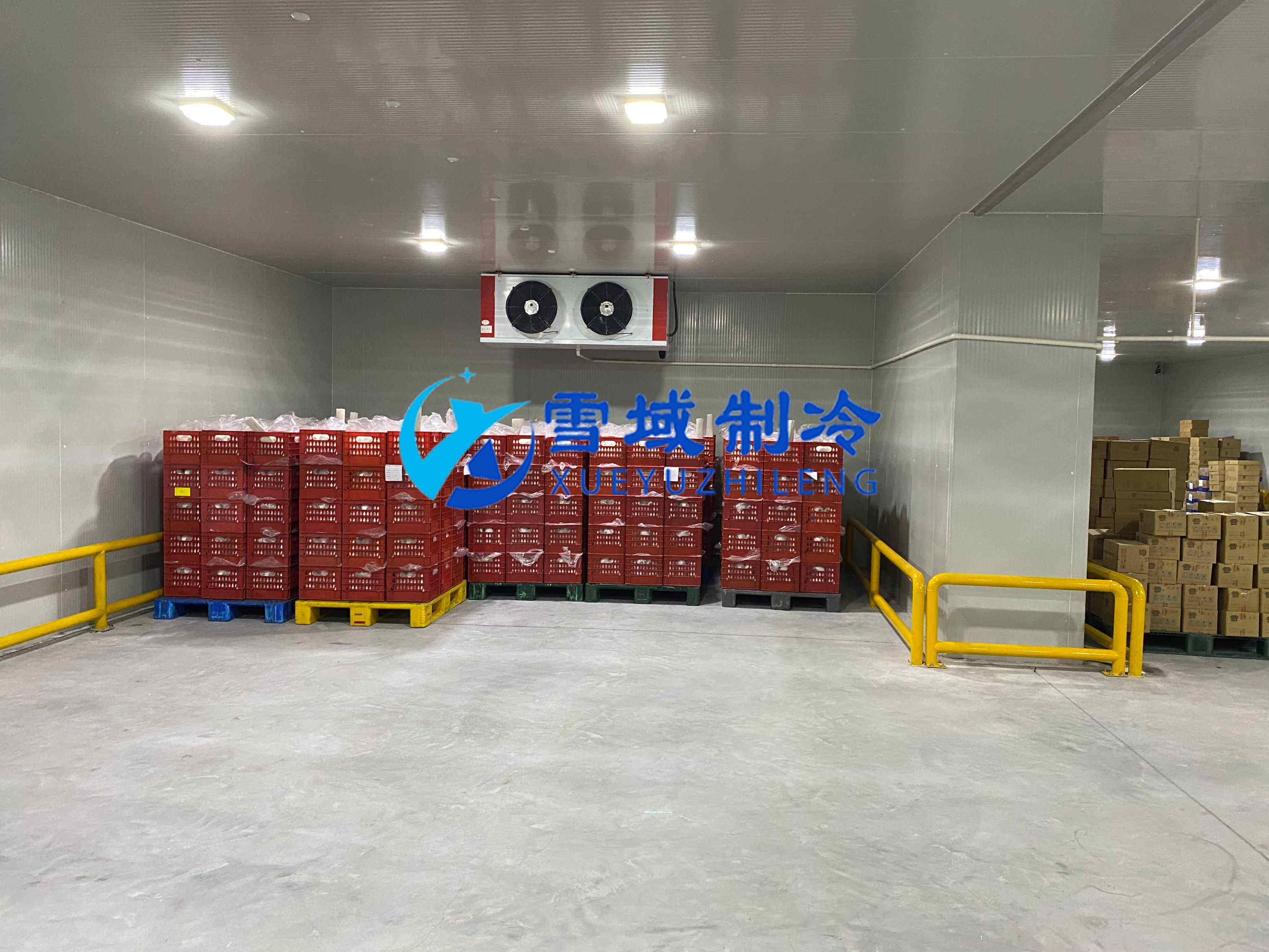 南京江宁速冻乳品冷库现场图片 南京江宁速冻乳品冷库现场图片