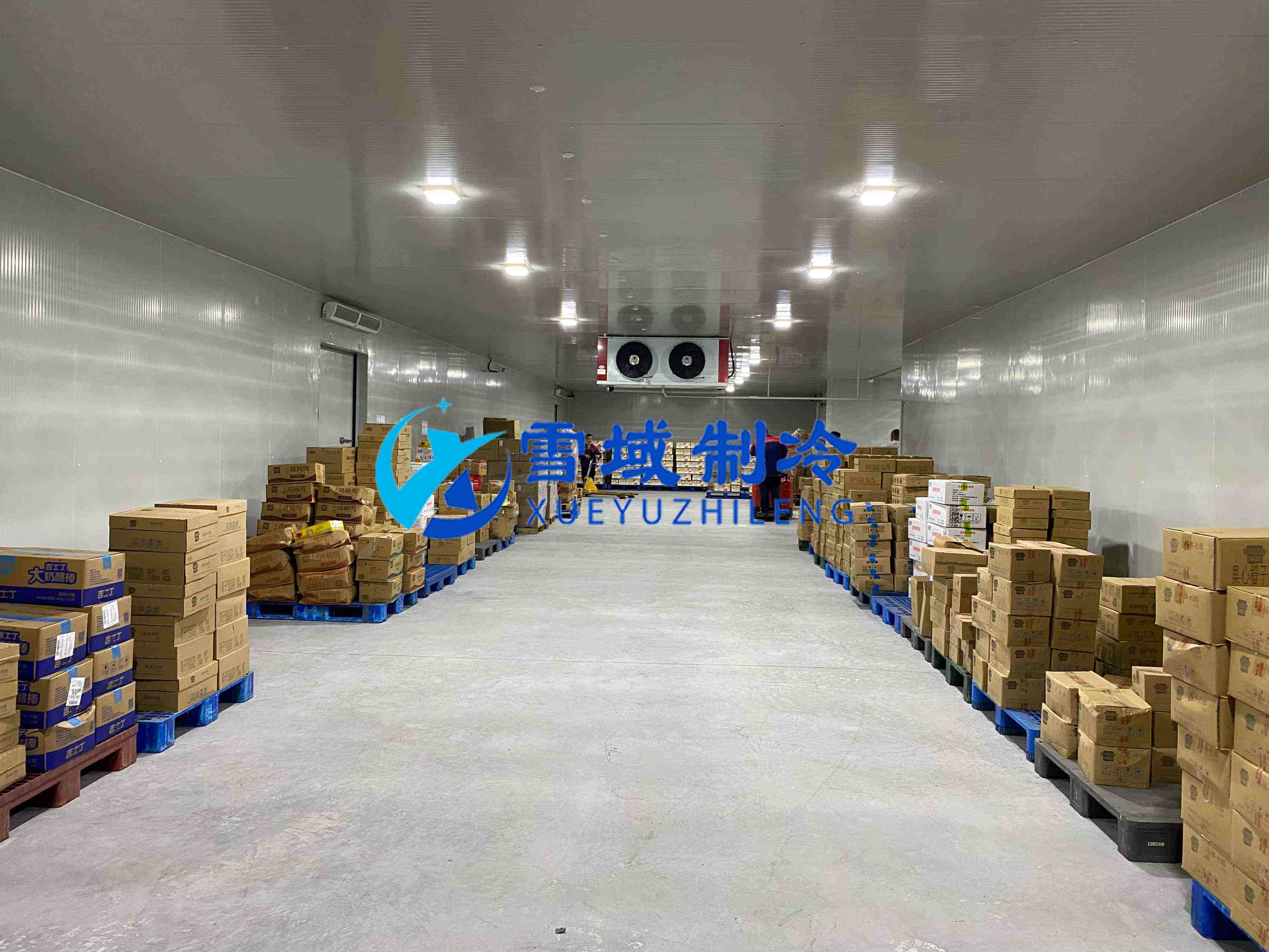 南京江宁速冻乳品冷库现场图片 南京江宁速冻乳品冷库现场图片