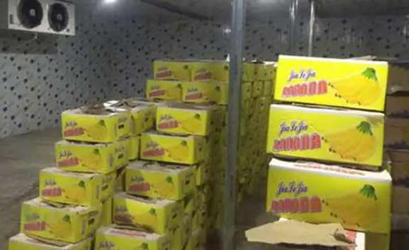 2023年冷库赚钱的方法 2023年冷库赚钱的方法