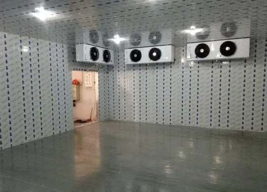 气调冷库和冷藏冷库之间的区别 气调冷库和冷藏冷库之间的区别