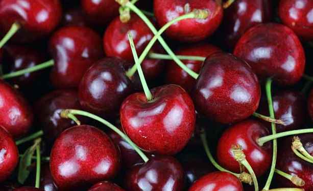 车厘子冷库存储技巧! 车厘子冷库存储技巧!