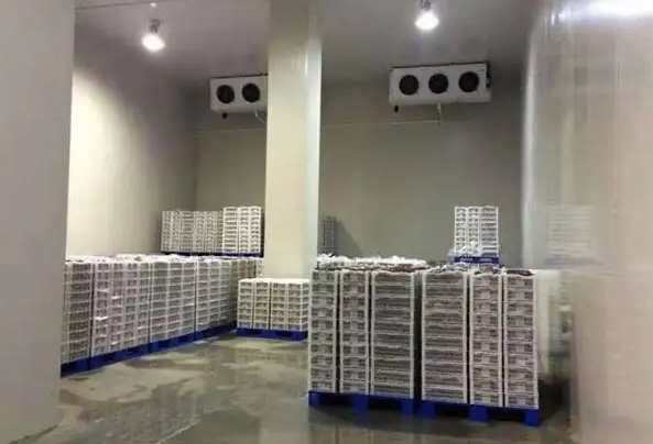 安装500立方猪肉冷冻库需要多少钱 安装500立方猪肉冷冻库需要多少钱