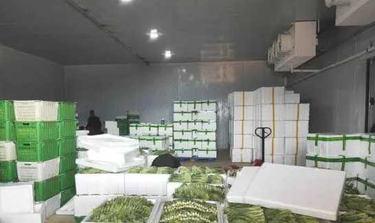 大型蔬菜冷库工程报价多少钱 大型蔬菜冷库工程报价多少钱