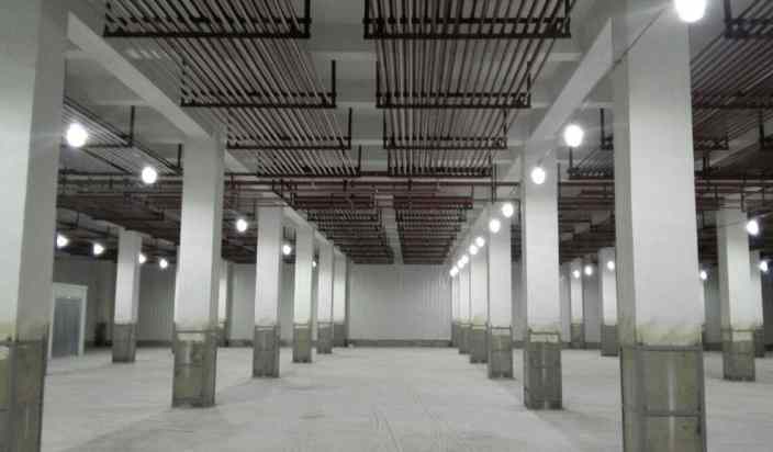 黄瓜冷库保鲜技术要求有哪些 黄瓜冷库保鲜技术要求有哪些