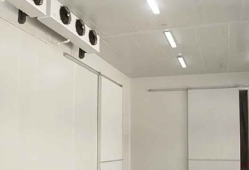 阳光玫瑰葡萄冷库保鲜技术有哪些要求 阳光玫瑰葡萄冷库保鲜技术有哪些要求