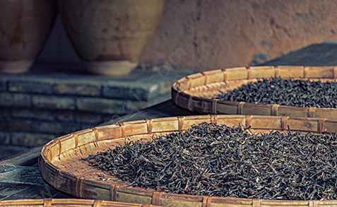 茶叶冷库存茶叶能放多久 茶叶冷库存茶叶能放多久