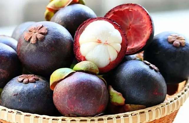 山竹存储在保鲜冷库能存放多久不坏 山竹存储在保鲜冷库能存放多久不坏