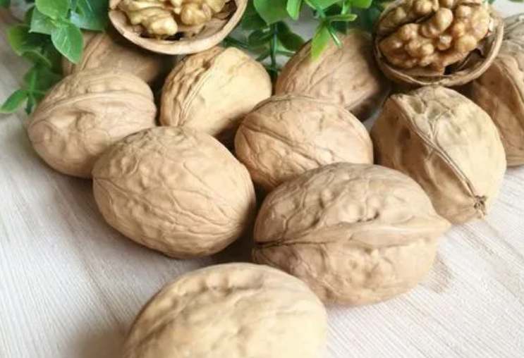 核桃放冷库的温度多少合适 核桃放冷库的温度多少合适