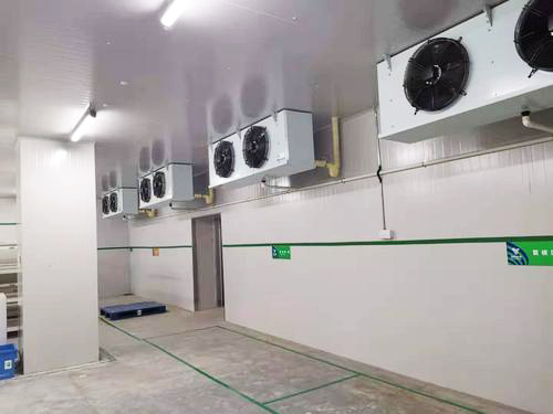 疫苗冷库温度 疫苗冷库温度