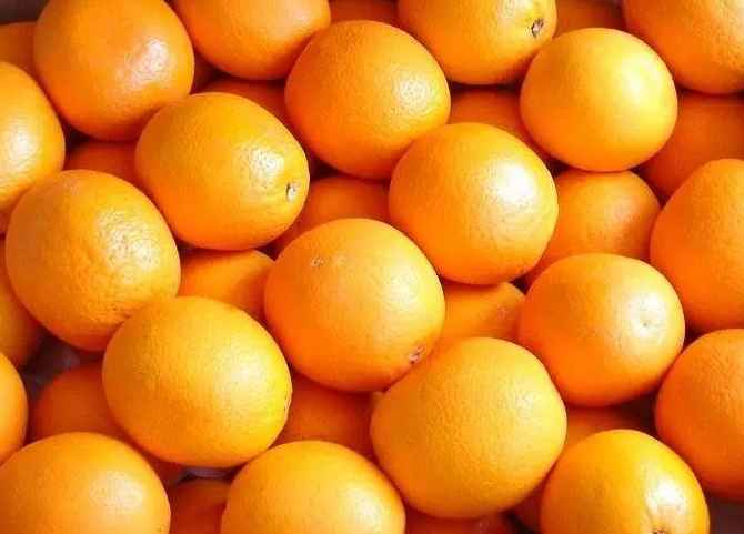 橙子气调冷库能保鲜多久 橙子气调冷库能保鲜多久