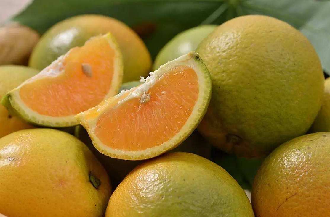 橙子气调冷库能保鲜多久 橙子气调冷库能保鲜多久