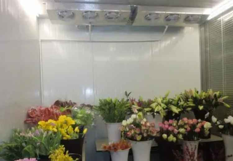 花卉小型冷库建设多少钱一平方 花卉小型冷库建设多少钱一平方