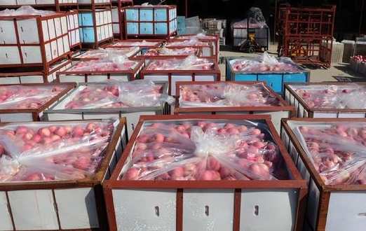 苹果冷库储存方法及温度是多少 苹果冷库储存方法及温度是多少