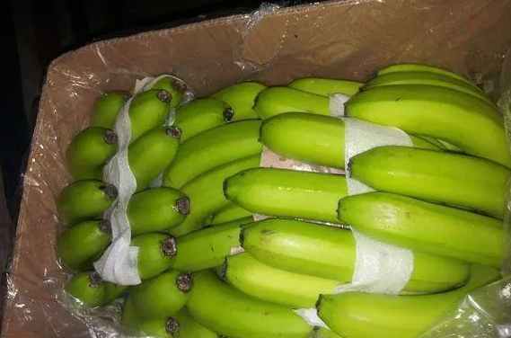 建设50平方的香蕉冷库要多少钱 建设50平方的香蕉冷库要多少钱