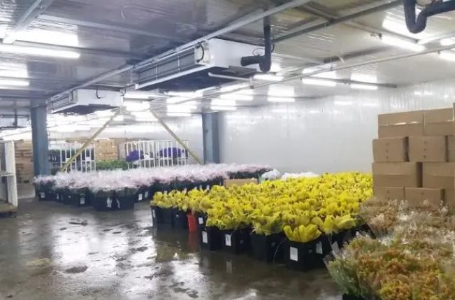 建造鲜花冷库多少钱一平方 建造鲜花冷库多少钱一平方