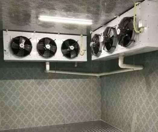 土豆冷库储存温度是多少 土豆冷库储存温度是多少