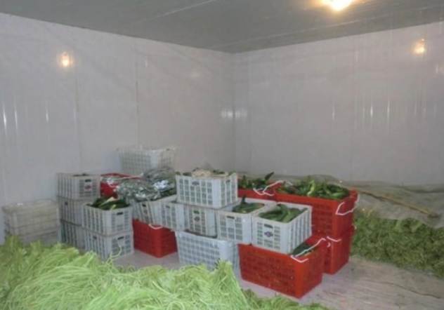 冷库价格揭秘:影响冷库造价的关键因素有哪些? 冷库价格揭秘:影响冷库造价的关键因素有哪些?