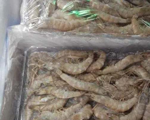 投资建650平米冻虾冷冻库多少钱 投资建650平米冻虾冷冻库多少钱