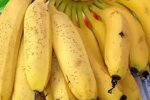 建一个两千平方芝麻蕉冷库得多少钱 建一个两千平方芝麻蕉冷库得多少钱