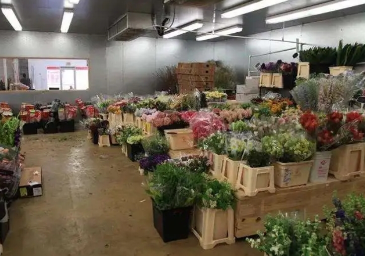 不同种类的鲜花对冷库温度的要求一样吗? 不同种类的鲜花对冷库温度的要求一样吗?