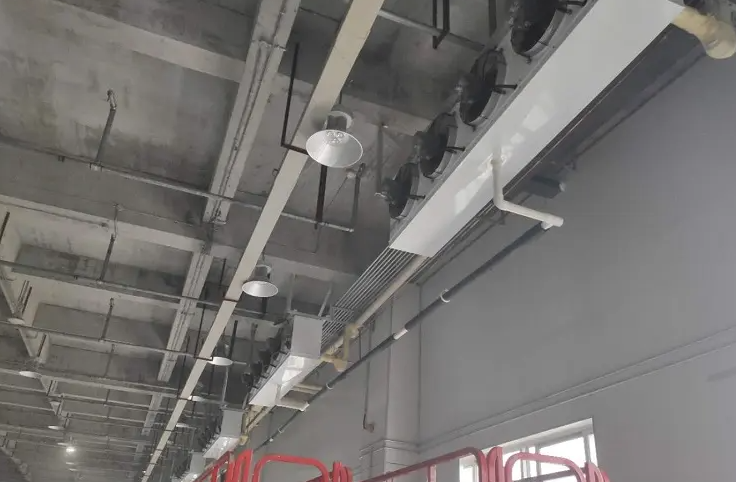 今年冷库前景和利润如何？