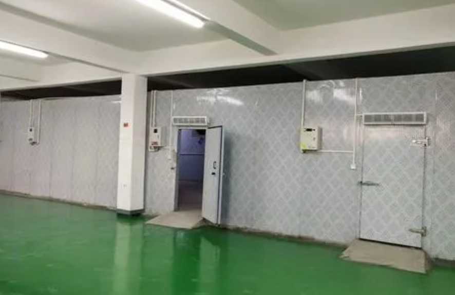 300立方保鲜冷库一天耗电多少度