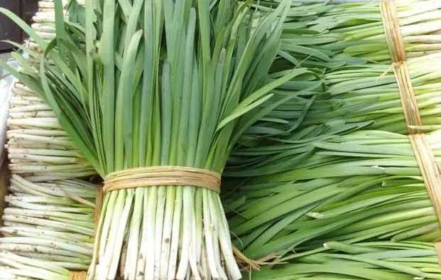 建500平方韭菜保鲜冷库需要多少钱