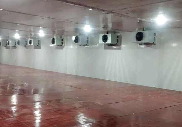 蔬菜储藏冷库造价多少钱