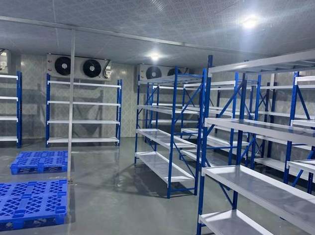 安装一个海鲜冷藏库多少钱