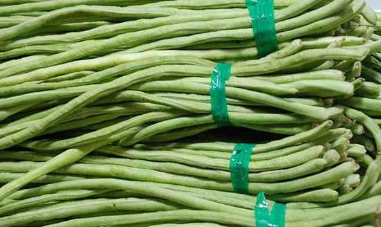 豆角冷库保鲜5个月的技巧是什么