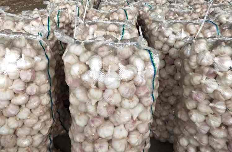  大蒜冷库存储温度多少度比较好