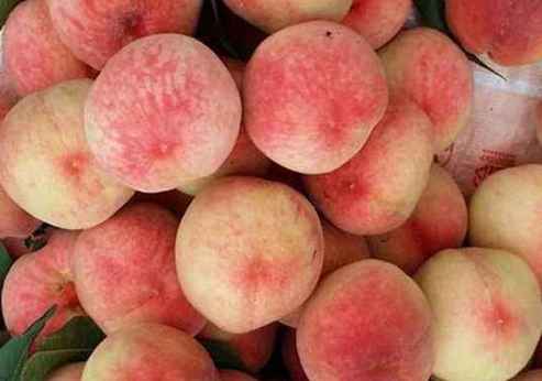 水蜜桃存贮在保鲜冷库里能放几天