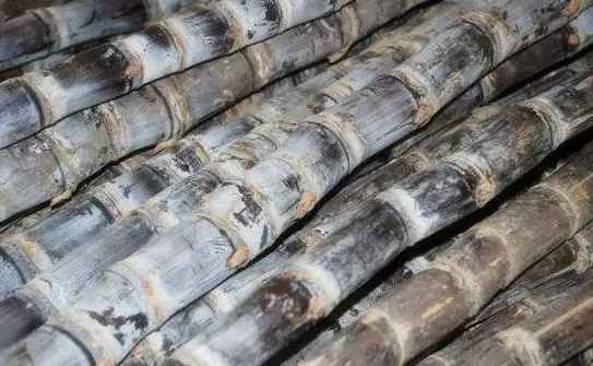 甘蔗冷库储存方法