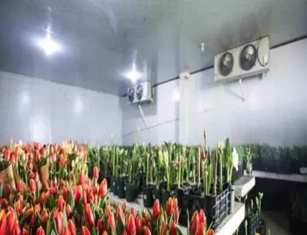 建一个15平的鲜花冷库要多少钱